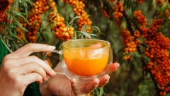 STRUČNJACI PREPORUČUJU Ove bobice mogu da se izbore sa dijabetesom i kilogramima, konzumirajte ih na 8 načina