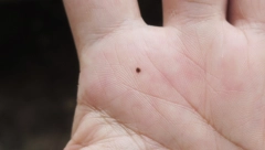 ASTROLOGIJA OTKRIVA Ljudi sa mladežom na desnoj ruci čeka uspešna sudbina, obratite pažnju na ovih 5 pozicija