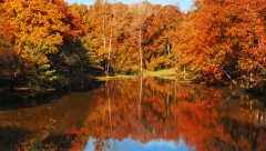 ALI GOSPOĐO, AJKULE NE ŽIVE OVDE Džinovska riba izazvala paniku na nemačkom jezeru, misle da se krije u mulju (FOTO)