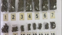 VELIKA ZAPLENA MARIHUANE U OKOLINI VRANJA  Uhapšen Albanac  koji je bio u pikapu hrvatskih registarskih oznaka u kom je prevozio drogu