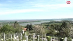 EKSKLUZIVNE FOTKE NOVE VILE JOVANE JEREMIĆ! Ogroman bazen, vinograd, pogled iz snova, a tek kad pročitate kako će se zvati