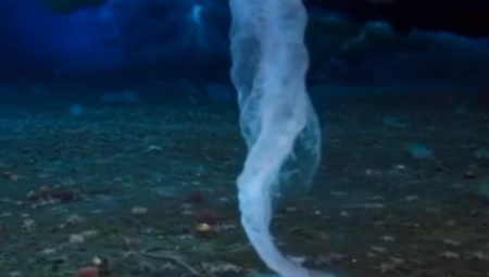 "PRST SMRTI" Zaleđuje sve što mu se nađe na putu (VIDEO)