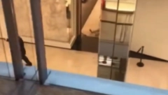 (UZNEMIRUJUĆI VIDEO) PRVI SNIMCI HAOSA U AUSTRALIJI Najmanje četiri osobe poginule , među žrtvama su majka i beba