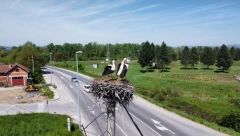 Iz vrele Afrike pravo u srce Srbije: Rode mogle da biraju bilo koje mesto na svetu ali su došle u Čačak, sve više parova dugonogih ptica letuje kraj Morave (FOTO)