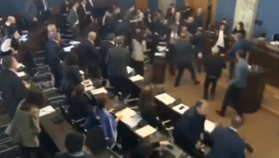 TUČA U PARLAMENTU Sevale pesnice, sednica prekinuta, batinanje nastavljeno i u hodniku (VIDEO)