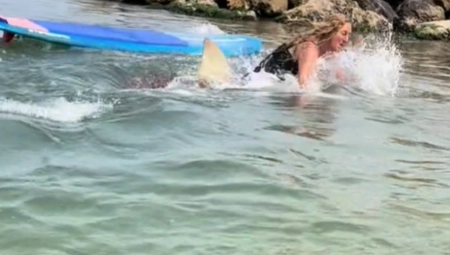NASTALA JE OPŠTA PANIKA Devojka pala sa daske pravo na GLADNU AJKULU (VIDEO)