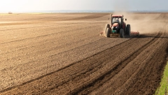 ZARADA IDE DO 10.000 EVRA PO HEKTARU: Ovo povrće je sve popularnije u Srbiji, ni suša mu ne može ništa