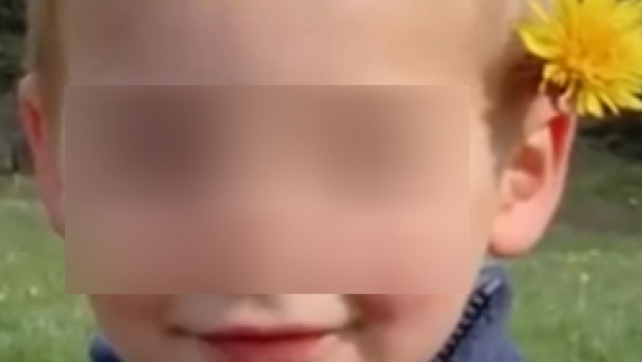 EMIL (2) JE NESTAO PRE 6 MESECI Misterija oko njegovo nestanka "Slučaj je veoma živ"