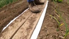 PROLEĆNA SETVA NA TOALETNOM PAPIRU Iako deluje neprimereno i šokantno, štedi vreme i novac