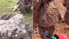 PRONAŠLI ZAKOPANO BLAGO, A ONDA USLEDIO NOVI ŠOK Na vrhu ćupa nalazilo se opasno stvorenje! (VIDEO)