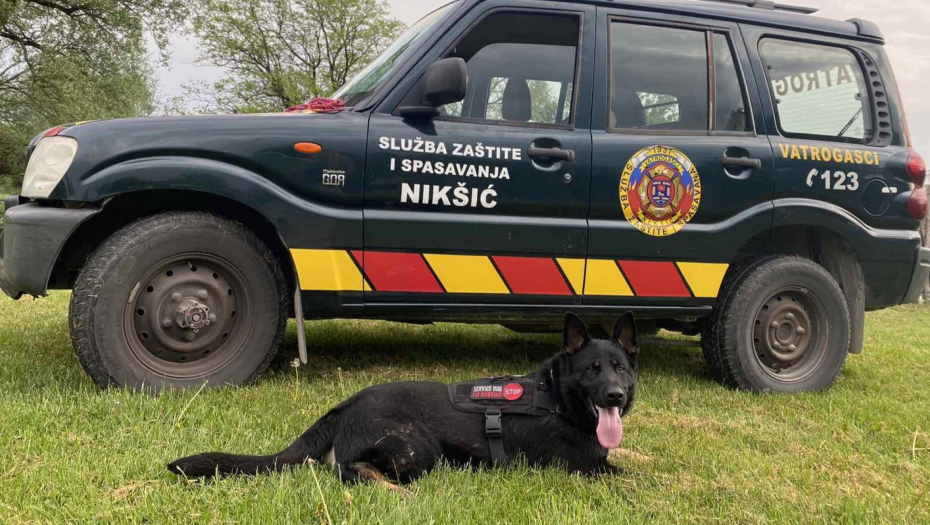 CRNA GORA DOBILA SVOG ZIGIJA Spasioci iz Nikšića po prvi put u istoriji dobili psa obučenog za spašavanje ljudi iz ruševina (FOTO)