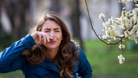 ZNATNO PROBIJENA GRANIČNA VREDNOST Izmerena koncentracija alergenog polena ambrozije