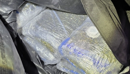 BOGAT ULOV SRPSKE POLICIJE Kod dilera sem marihuane pronašli oko 15. 000 tableta ekstazija