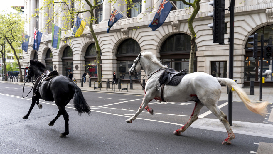 HAOS NA LONDONSKIM ULICAMA! Oglasila se policija: "Konji britanske konjice pobegli sa vežbe" (FOTO)