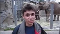 "JA U ZOOLOŠKOM VRTU" Ovo je prvi YouTube snimak ikada objavljen (VIDEO)