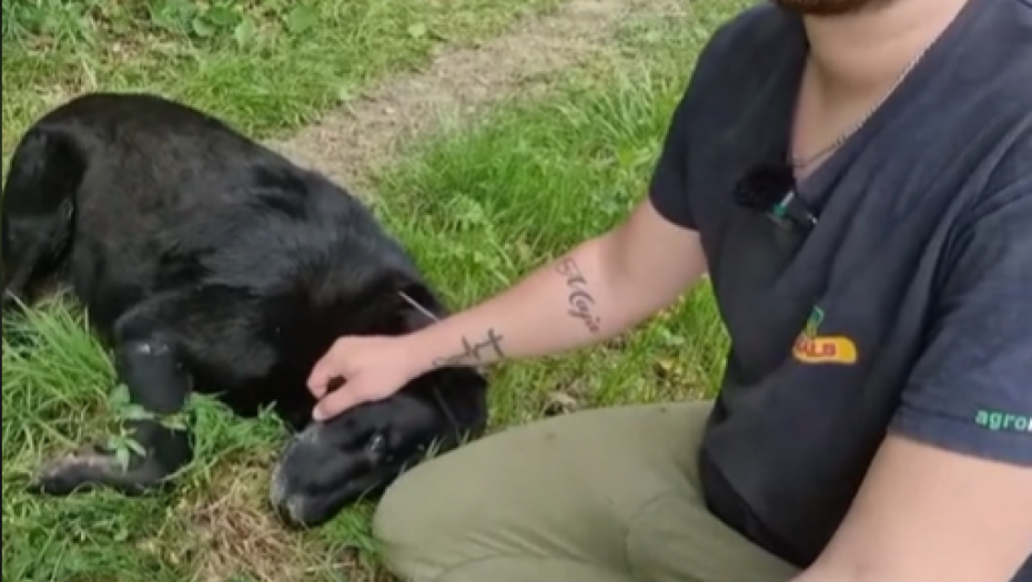 MUŠKARAC LEŽAO POVREĐEN U ŠUMI Usledila je pomoć koju nikako nije očekivao (VIDEO)