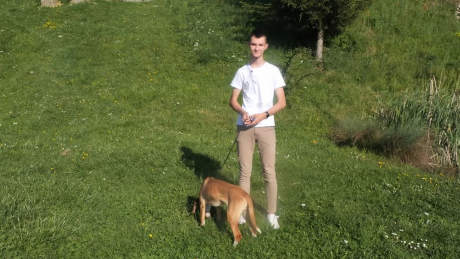 IZLOŽBA PASA SVIH PASMINA: Posavski gonič najlepši na svetu! (VIDEO)