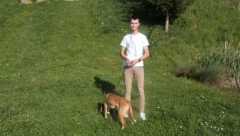 IZLOŽBA PASA SVIH PASMINA: Posavski gonič najlepši na svetu! (VIDEO)