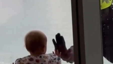 BEBA UGLEDALA NEPOZNATOG ČOVEKA, PA DOTRČALA DA GA POZDRAVI Njegova reakcija na devojčicu će vam ulepšati dan! (VIDEO)