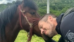 NIKOLA ROKVIĆ USKORO NAPUŠTA SRBIJU! Pevač se oglasio sa ove lokacije, šokiran prizorom, ne može da dođe sebi