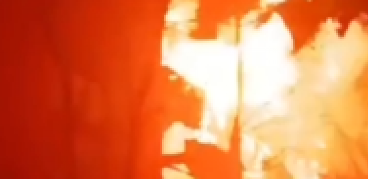 POŽAR U NOVOM SADU Gust crni dim prekrio objekat (VIDEO)