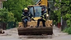 HEROJI SPAŠAVAJU ŽIVOTINJE PO SVRLJIGU! Voda sve preplavila - bagerom se spasioci probijaju! (VIDEO)