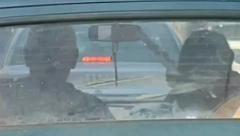 POČEO JE DA SE PREZNOJAVA, PA JE ŽENA PREUZELA STVAR U SVOJE RUKE! U vrelom ''kecu'' nema klime, video iz Jagodine ZAPALIO mreže! (VIDEO)