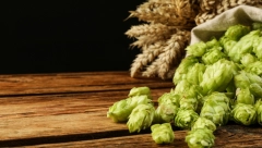 Donosi zaradu i do 15.000 evra, a u Srbiji se retko gaji: Znate li o čemu je reč?