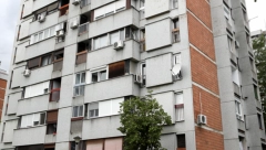 OPREZ BEOGRAĐANI, ČUVAJTE LJUBIMCE! U Bloku 64 pobacan OTROV - pas Boža se VEĆ OTROVAO!