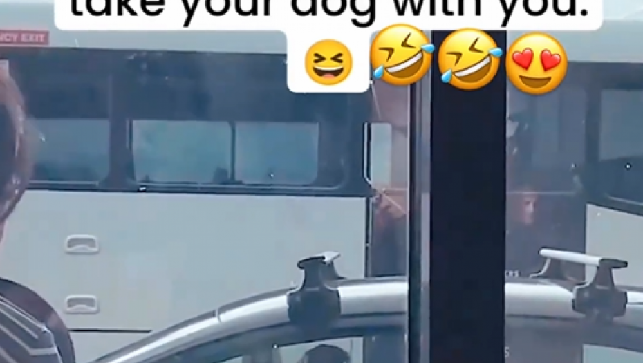 OSTAO SAM, PA SEO ZA VOLAN Čovek zaboravio PSA u kolima, a onda je usledila URNEBESNA scena (VIDEO)