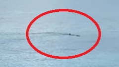 SNIMAK SA JADRANA PREPAO SVE BALKANCE Neman ZALUTALA u plićak (VIDEO)