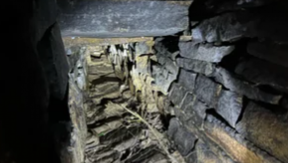 IZAŠAO U ŠETNJU, ONDA JE VIDEO MRAČNO STEPENIŠTE Tamo ga je zatekao užasan prizor (FOTO)