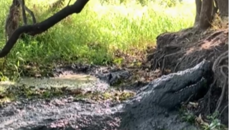 LJUBITELJ PRIRODE ZA DLAKU IZBEGAO TRAGEDIJU U blatu ga je vrebala divlja zver, prizor ledi krv u žilama! (VIDEO)