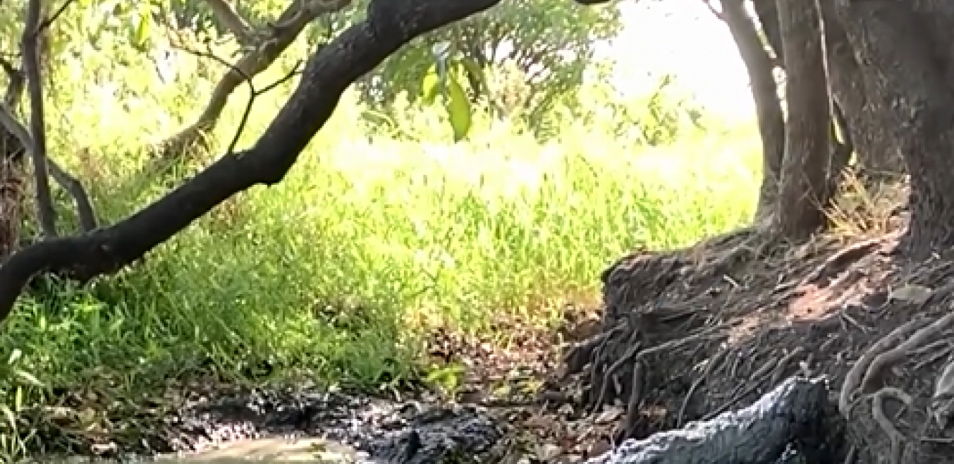 KRISTINA ODBRANILA ĆERKU OD SMRTONOSNOG PREDATORA Odmah je dohvatila pušku - i ušla u Ginisovu knjigu rekorda!