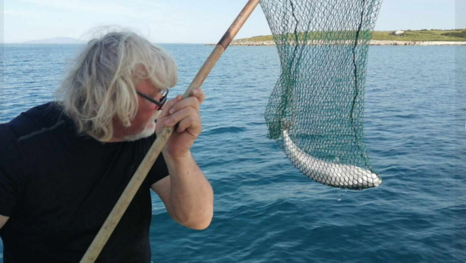 OTROV U JEDNOJ MOŽE DA UBIJE 30 LJUDI Kod Rovinja ulovljena NAJOTROVNIJA RIBA na svetu (FOTO)