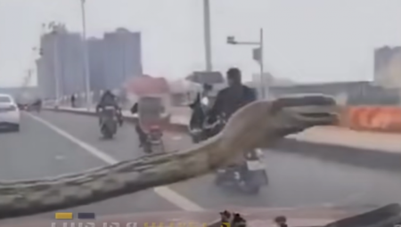 PRESTRAVIĆE VAS SNIMAK OVOG ČUDOVIŠTA Čovek vozio kola, a onda je nešto LUPILO po šoferki (VIDEO)