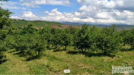 NA 3 KM OD GRADA, KUĆA, 1.000 VOĆKI: Parče plodne zemlje za 29.000 evra, a prizor bajkovit (FOTO)