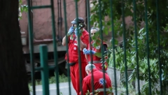 NEMA STRADALIH BG Voz naleteo u zadnji deo teretnog voza, ljudski faktor uzrok nesreće kod Pančevca