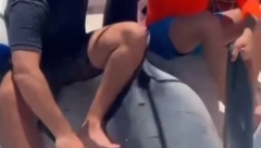RAJKO ULOVIO AJKULU OD 200 KILA Objavljen šok snimak morske nemani u Budvi, pogledajte KOLIKA je! (VIDEO)