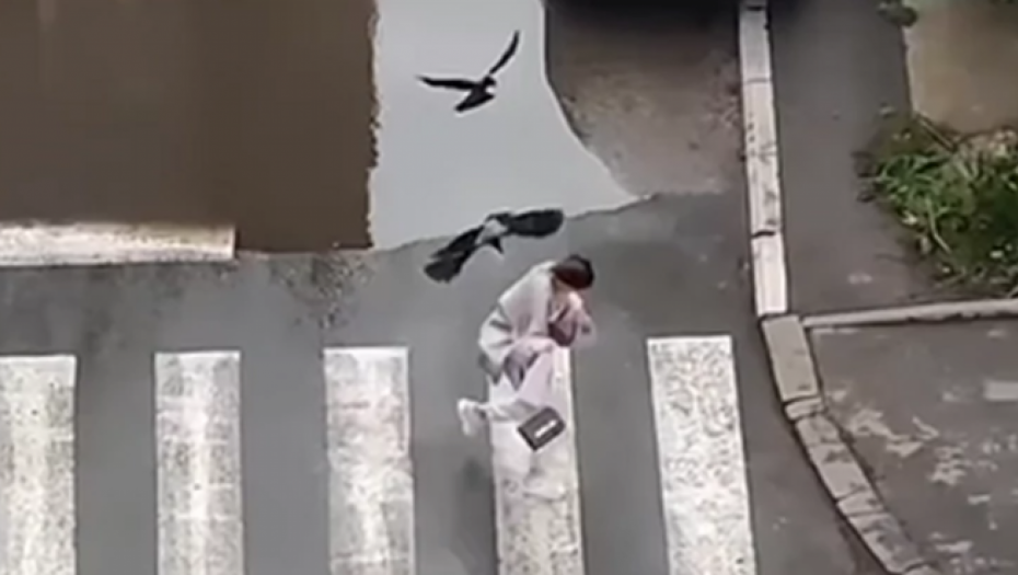 VRIŠTALA NA SAV GLAS KAD SU JE ŠČEPALE, BEŽALA, PA PALA! Devojka doživela UŽAS nasred ulice, jedan potez mogao skupo da je košta! (VIDEO)