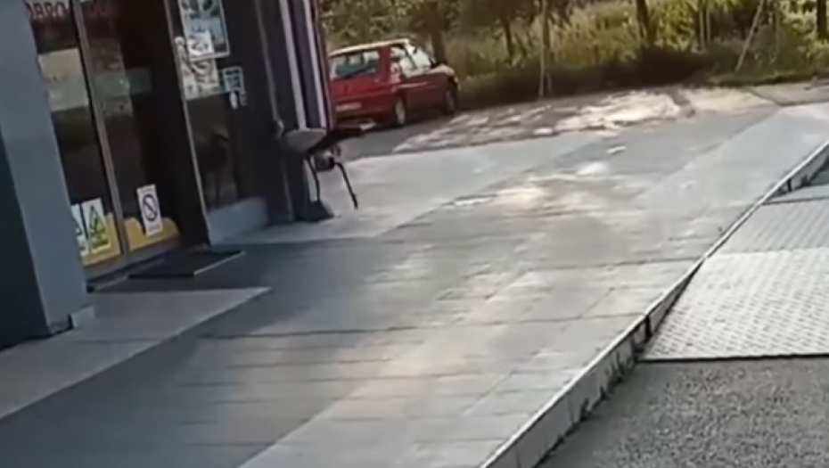 VRATILE SE RODE, PA KRENULE U MARKET Jedinstven snimak iz Zrenjanina oduševio mreže (VIDEO)