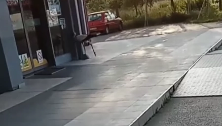 VRATILE SE RODE, PA KRENULE U MARKET Jedinstven snimak iz Zrenjanina oduševio mreže (VIDEO)