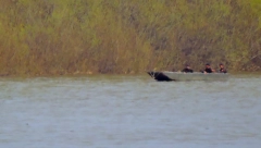 HOROR NA TAMIŠU! Telo dede (70) izvukli iz vode, ostavili ga i nastavili da ROŠTILJAJU sa decom!