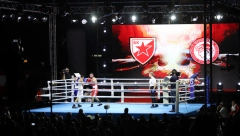 TO MOŽE SAMO ZVEZDA Ovo je svet prvi put video: Spektakularna bakljada delija na boksu! (VIDEO)