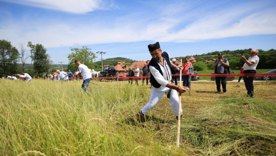 TAKMIČENJE KOSAČA U GORNJIM GRBICAMA KOD KRAGUJEVCA Od svega važnije što su slogu doveli u selo (FOTO)