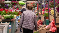 VELIKA POTRAŽNJA ZA OVIM POVRĆEM Bogatija ponuda na beogradskoj Veletržnici