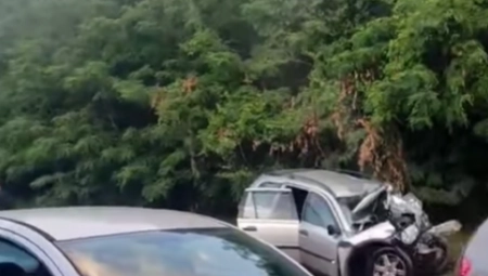 NAJNOVIJE INFORMACIJE O  STANJU POVREĐENIH KOD MLADENOVCA Zbrinuto njih 37, zadobili povrede, lomove