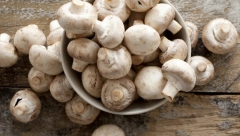 ISECITE PEČURKE BEZ NOŽA, ZA MANJE OD 2 MINUTA Potrebna vam je jedna stvarčica koju sigurno imate u kuhinji