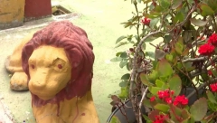 OGROMNI LAVOVI NA KAPIJI, KOKOŠKE U DVORIŠTU Ovo je vila naše poznate pevačice od nekoliko stotina kvadrata