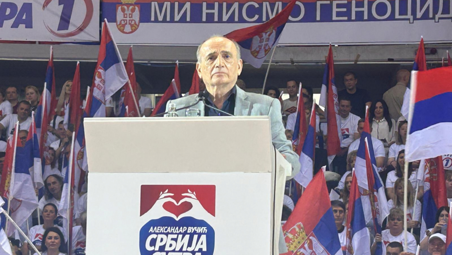 TOG DANA SRBIJA JE PODIGLA GLAVU I NEĆE JE SAGINJATI Krkobabić o lavovskoj borbi predsednika Vučića
